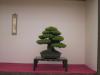 1374-PICT0164   